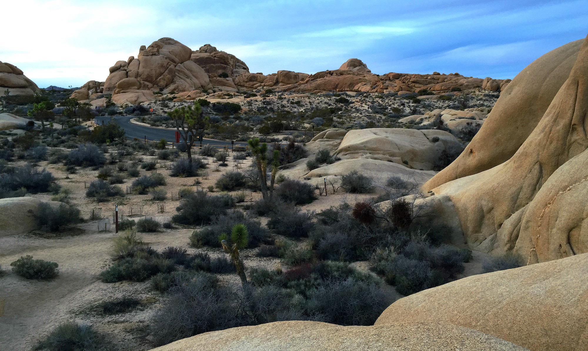 Joshua Tree Nationalpark, California A World Full of Fairytales
